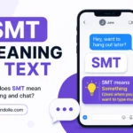 smt meaning in text