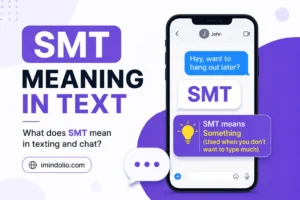 smt meaning in text