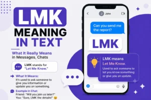 LMK Meaning in Text
