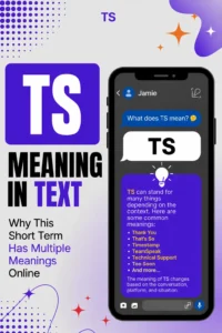 TS Meaning In Text