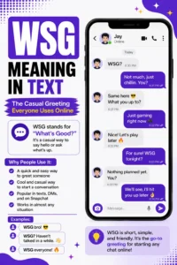 WSG Meaning In Text