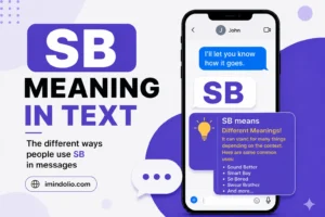 SB Meaning In Text