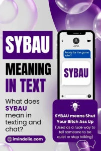 SYBAU Meaning In Text